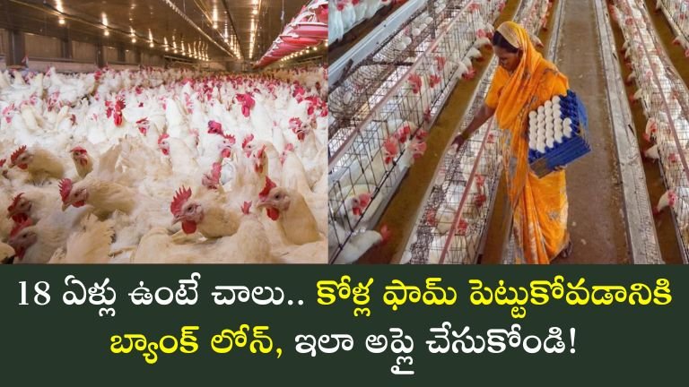 Poultry Loan